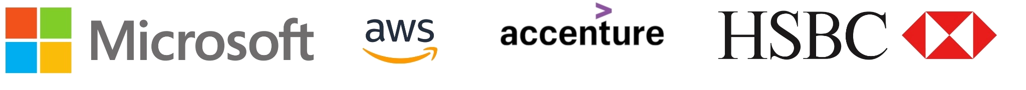 Organizations and platforms Terraservers has worked with, including Microsoft, AWS, Accenture, and HSBC.